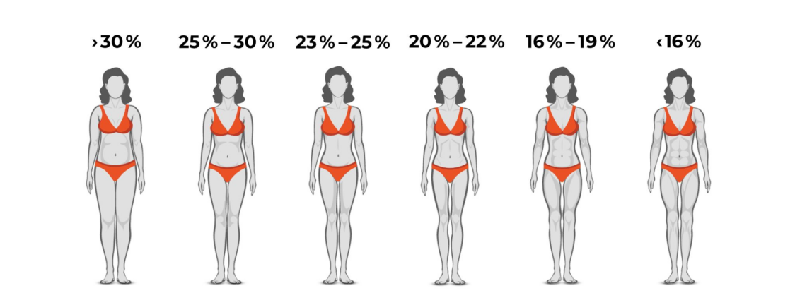 proporzione di grasso per un six-pack visibile nelle donne