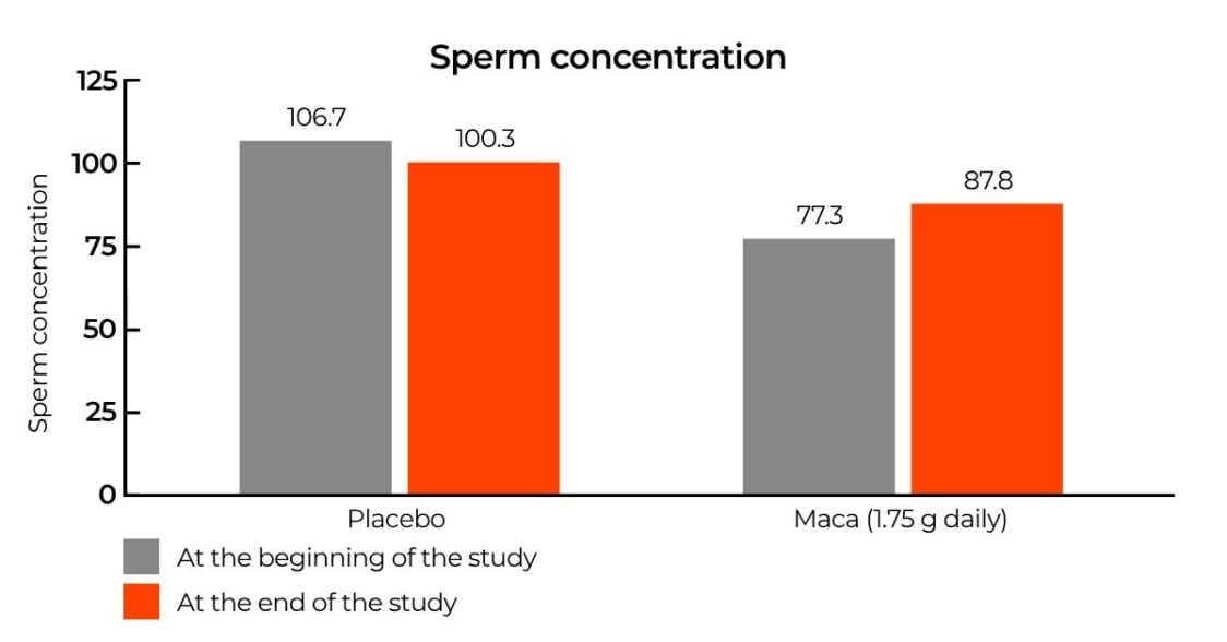 effetto della maca sulla concentrazione dello sperma