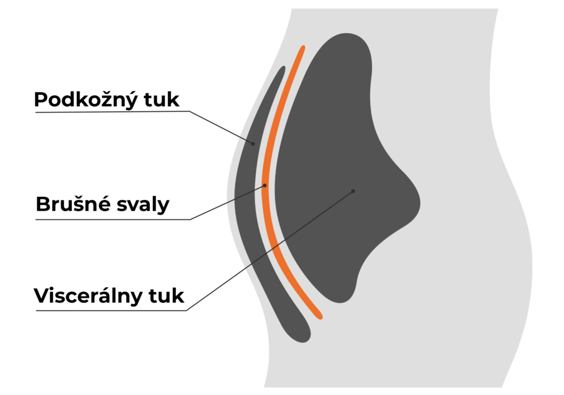 Cos'è il grasso? Cos'è il grasso?