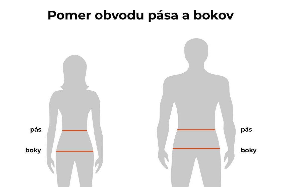 Waist-to-hip ratio (WHR index) - Pomer obvodu pása k obvodu bokov