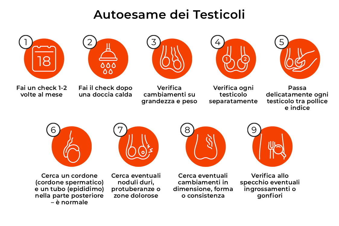 Procedura di autoesame testicolare