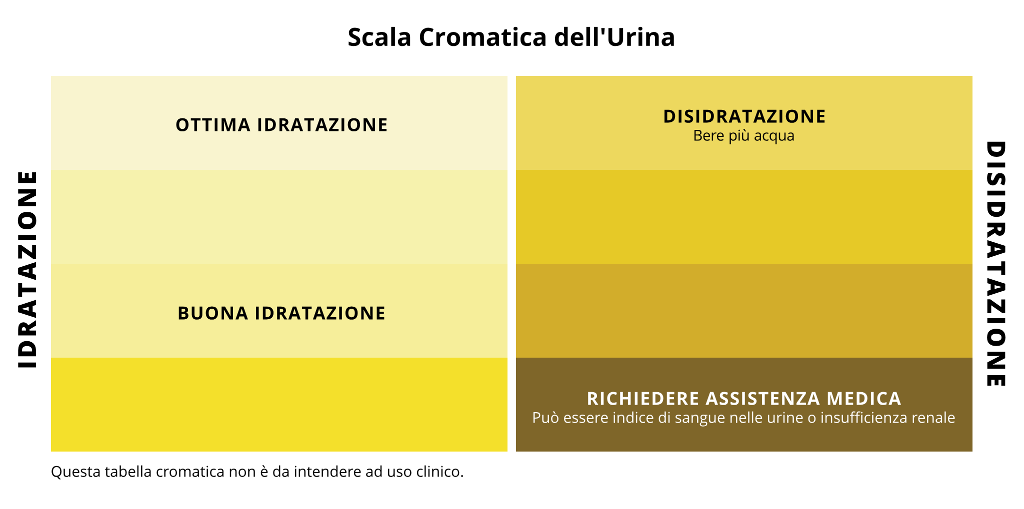 Schema dei colori dell'urina