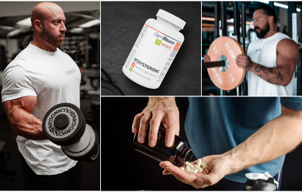 Ecdysterone: Il suo effetto sulla crescita muscolare, sulla forza e sui livelli di testosterone