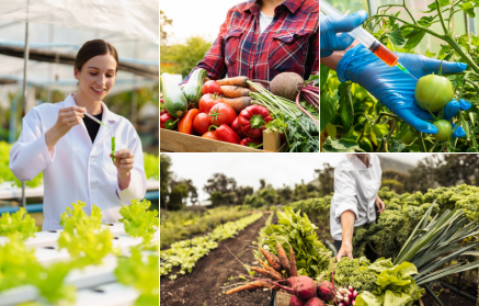 Alimenti OGM: salvezza o minaccia?
